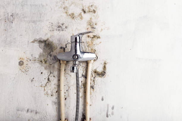 Best Mold Testing  in Good Hope, CA