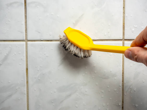 Best Local Mold Removal Service  in Good Hope, CA