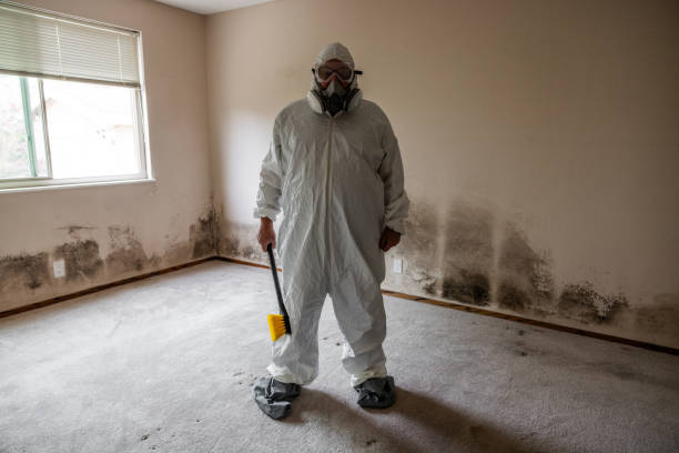 Best Crawl Space Mold Removal  in Good Hope, CA